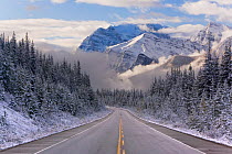 The Icefields Parkway, route between Banff and Jasper in Banff-Jasper National Parks, Rocky Mountains, Canada, 2007