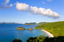 Elevated view over the world famous beach at Trunk Bay, St John, US Virgin Islands, Leeward Islands, Lesser Antilles, Caribbean, West Indies 2008