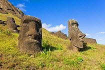 Giant monolithic stone Moai statues at Rano Raraku, Rapa Nui, Easter Island, Chile, 2008