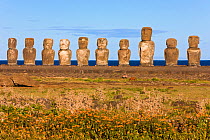 Ahu Tongariki, the largest ahu on the Island, Tongariki is a row of 15 giant stone Moai statues, Isla de Pascua / Easter Island, Rapa Nui, Chile, 2008