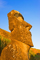 Giant monolithic stone Maoi statue at Rano Raraku, Isla de Pascua / Easter Island, Rapa Nui, Chile, 2008