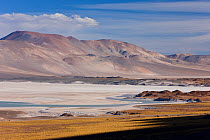 Los Flamencos National Reserve, the altiplano at an altitude of over 4000m looking over the salt lake Laguna de Tuyajto, Atacama Desert, Antofagasta Region, Norte Grande, Chile, 2008