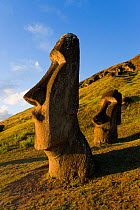 Giant monolithic stone Maoi statues at Rano Raraku, Easter Island, Rapa Nui, Chile, South America 2008