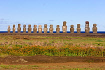 Ahu Tongariki, the largest ahu on the Island, Tongariki is a row of 15 giant stone Moai statues, Isla de Pascua / Easter Island, Chile 2008