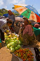 Saturday market in Lalibela, people walk for days to trade in this famous weekly market, Lalibela, Ethiopia 2005