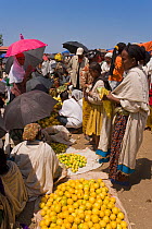 Saturday market in Lalibela, people walk for days to trade in this famous weekly market, Lalibela, Ethiopia 2005