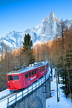 Train going from Chamonix to Mont Blanc, French Alps, Haute Savoie, Chamonix, France 2009