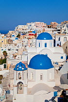 Blue domed churches in the village of Oia (La), Santorini (Thira), Cyclades Islands, Aegean Sea, Greece, Europe 2010
