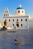 Dog sitting infront of Church of Panagia of Platsani, Oia (La), Santorini (Thira), Cyclades Islands, Aegean Sea, Greece, 2010