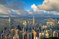 Aerial view over Hong Kong from Victoria Peak, China 2009