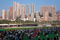 Crowds of people at Happy Valley racecourse with city skyline in background, Wan Chai, Hong Kong, China 2007