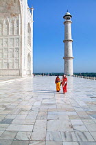Women in colourful Saris, beside the Taj Mahal, UNESCO World Heritage Site, Agra, Uttar Pradesh, India, 2011. Model released.