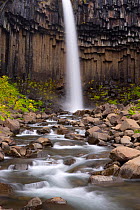 Svartifoss waterfall which is flanked by over hanging black basalt columns hence the name Svartifoss or Black Falls, Skaftafell National Park, Southern Vatnajokull, Iceland 2006