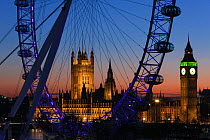 Millennium Ferris Wheel - London Eye and Big Ben, illuminated at night, London, UK 2008