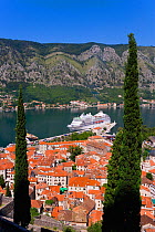 Large cruise liner docked in the harbour next to the Old Town, Fjord and mountains from the Walls of the Kotor Fortress which forms a continuous belt around the Old Town of Kotor, Bay of Kotorska, Adr...