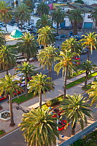 Looking down onto Boulevard de Rachidi, typical of the wide tree lined streets in the smart Lusitania district in Maghreb, Casablance, Morocco, 2011
