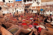 Chouwara traditional leather tannery in Old Fez, vats for tanning and dyeing leather hides and skins, Fez, Morocco, 2011