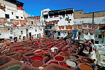Chouwara traditional leather tannery in Old Fez, vats for tanning and dyeing leather hides and skins, Fez, Morocco, 2011