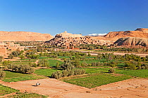 Ancient Kasbah town of Ait Benhaddou on a former Caravan Route beside the Quarzazate River, often used as a film location, Atlas mountains, Morocco, 2011