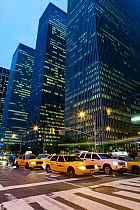 Typical yellow taxis below skyscrapers along Sixth Avenue, Manhattan, New York City, USA, 2009. No release available.