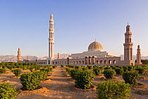 Al-Ghubrah or Grand Mosque, Muscat, Oman, Middle East 2007