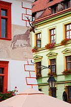 Sighisoara, medieval citadel, Piata Cetatii, detail of painted houses in the central cafe lined square in the citadel, surrounded by cobbled streets lined with colourfully painted 16th Century burgher...