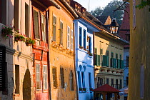 Sighisoara, a medieval citadel, cobbled streets lined with colourfully painted 16th Century burgher houses, Transylvania, Romania 2006