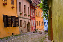 Sighisoara, a medieval citadel, cobbled streets lined with colourfully painted 16th Century burgher houses, Transylvania, Romania 2006