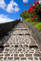 Brimstone Hill Fortress which is situated 790 feet above sea level, the 18th Century compound is lined with 24 cannons and is the largest and best preserved Fortress in the Caribbean, a National Park...