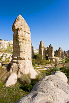 Phallic pillars known as Fairy Chimneys in the valley known as Love Valley near Goreme in Cappadocia, Anatolia, Turkey, 2008