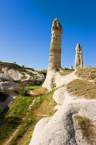 Phallic pillars known as Fairy Chimneys in the valley known as Love Valley near Goreme in Cappadocia, Anatolia, Turkey, 2008