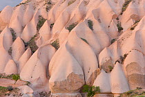 Volcanic tufa rock formations, Uchisar, Cappadocia, Anatolia, Turkey, 2008