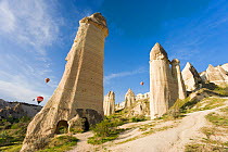 Hot Air Balloons rising over the Phallic pillars known as Fairy Chimneys in the valley known as Love Valley near Goreme in Cappadocia, Anatolia, Turkey, 2008