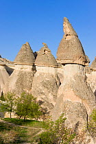Volcanic tufa formations, known as Fairy Chimneys, Pasabag, near Zelve, Cappadocia, Anatolia, Turkey, 2008
