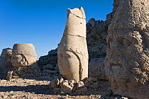Ancient carved stone heads of the gods, Nemrut Dagi (Nemrut Dag), on the summit of Mount Nemrut, UNESCO World Heritage Site, Cappadocia, Anatolia, Turkey, 2008
