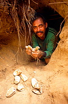 Park ranger with Komodo dragon (Varanus komodoensis) hatchlings taken from egg chamber 10 foot underground, taken on location for TVNZ shoot 'Dragons of Komodo',  Komodo Island, Indonesia, June 2009