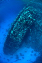 Snorkeller on wreck, Red Sea, July 2010