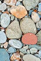 Dry stones in stream bed. Scotland.