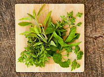 Cooking herbs, including mint and parsley, on chopping board