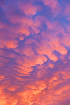 Mammatus cloud formation, Brechin, Scotland, February, 2012.