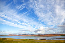 Cloud formations over Loch Gruinart looking east with Barnacle Geese (Branta leucopsis) feeding in field in foreground Islay Scotland, UK, October