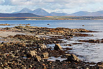 Loch Indaal looking from the west shore towards Bridgend with the Paps of Jura in the background Islay Scotland, UK, October