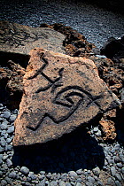 Petroglyphs at the Puako Petrogloyph Archaeological Preserve. Pu ukohjola Heiau National Historic Site, Hawaii, March 2012.