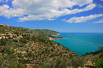 View of Adriatic Sea from the coastline northeast of Mattinata, Italy, April 2012