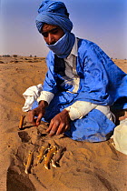Bedouin preparing sandfish (Scincus albifasciatus) to eat, Erg Chigaga, Morocco