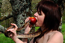Woman holding a snake, whilst eating and apple next to a tree, April 2009