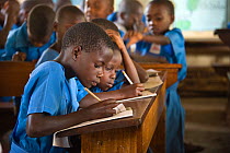 Students of Kasiisi School in class, funded by the Kasiisi School Project, just outside of Kibale National Park, Uganda, August 2011. No release available.