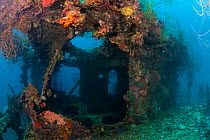 Wreck diving, Iro Maru WWII Wreck with established coral reef habitat, Palau, Micronesia 2010