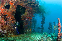 Scuba diver wreck diving in Iro Maru WWII Wreck, now home to established coral reef, Palau, Micronesia 2010, model released