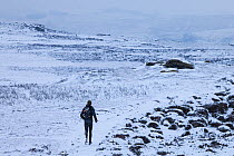 Fell runner in winter conditions. Derwent Edge, Peak District National Park, Derbyshire, UK. January.